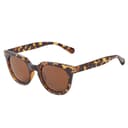 Upfront Unisex Ritto Zonnebrillen Bruin