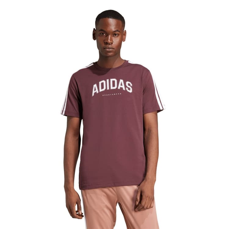 adidas Heren Codes College Lineaire Grafische T-shirt Aurora Ruby