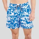 Hurley Heren Zonnige Kust Volley Zwembroek Blauw