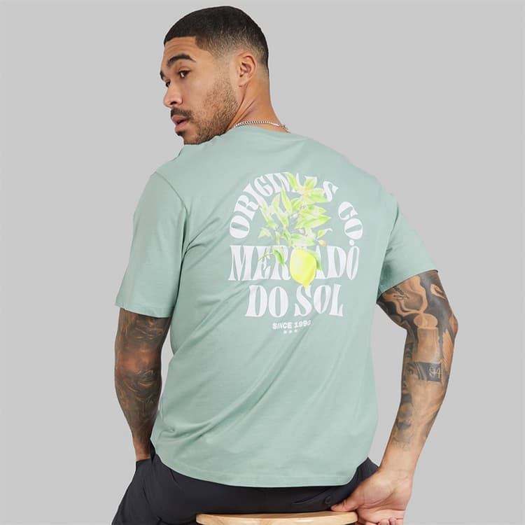 JACK & JONES Heren Mykonos Back T-shirts Groen