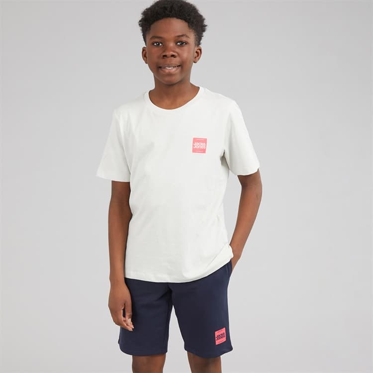 JACK & JONES Jongens Brandy T-shirt en Shorts Set Glacier Gray