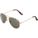 Superdry Huntsman Zonnebril Goud