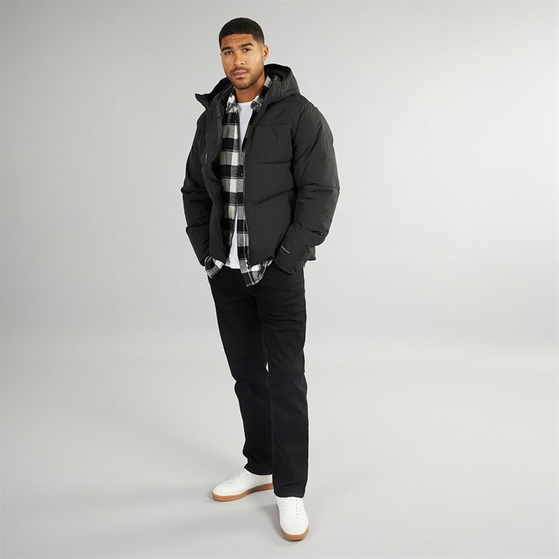 Herren - Brady Wattierte Kapuzenjacke Schwarz - Bild 3