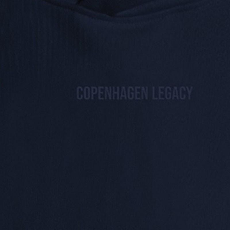 Copenhagen Legacy Hoodies Blauw - Afbeelding 3