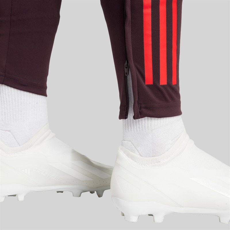 adidas Dames FCB FC Bayern Muenchen Trainingsbroek Shadow Maroon/Rood - Afbeelding 5