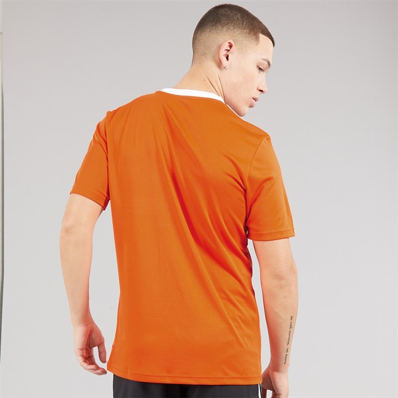 adidas Team Icon 23 T-shirt dla niego kolor Team Orange – zdjęcie  2