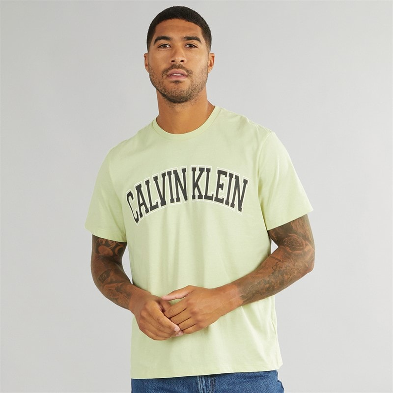 Calvin Klein Jeans Heren Curve Varsity Log T-Shirt Aloe Wash