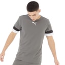 Puma Heren teamRISE Sports Performance Tops Grijs