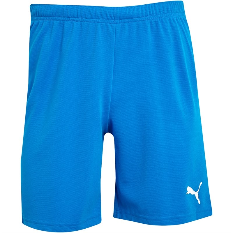 Puma Herren teamRISE Performance Sporthosen Blau - Bild 3