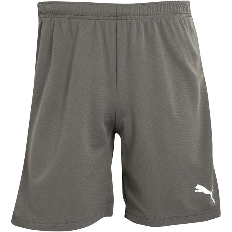 Puma Shorts de Sport Performants teamRISE Homme Gris - Image 3