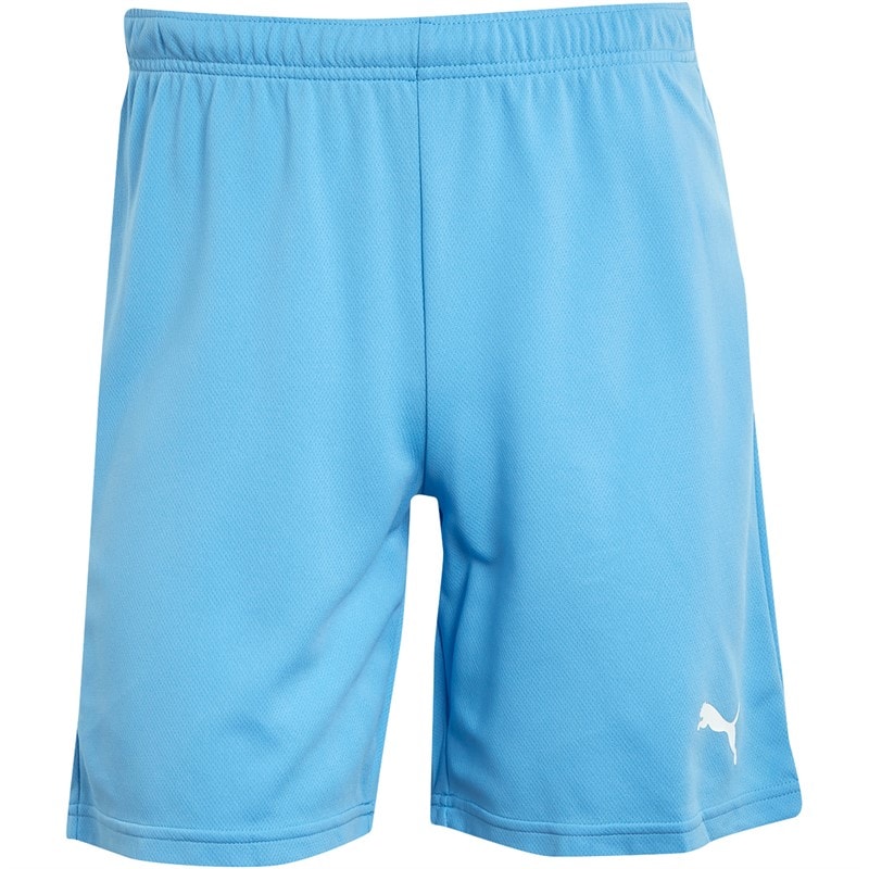 Puma Shorts de Sport Performants teamRISE Homme Bleu - Image 3