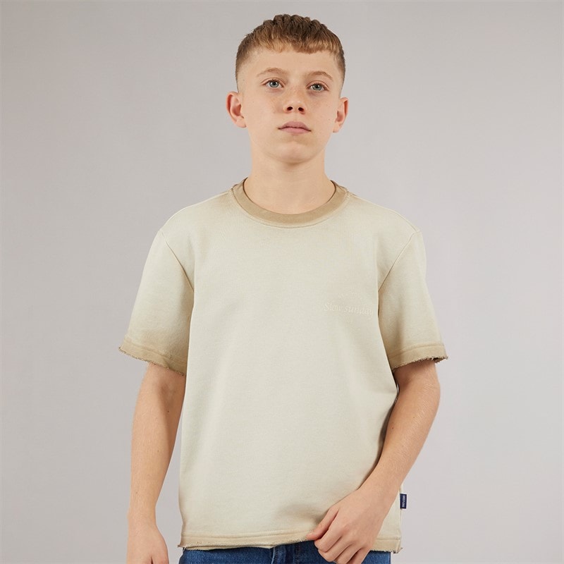 ONLY & SONS Jongens Tilmo Life T-Shirt Chinchilla