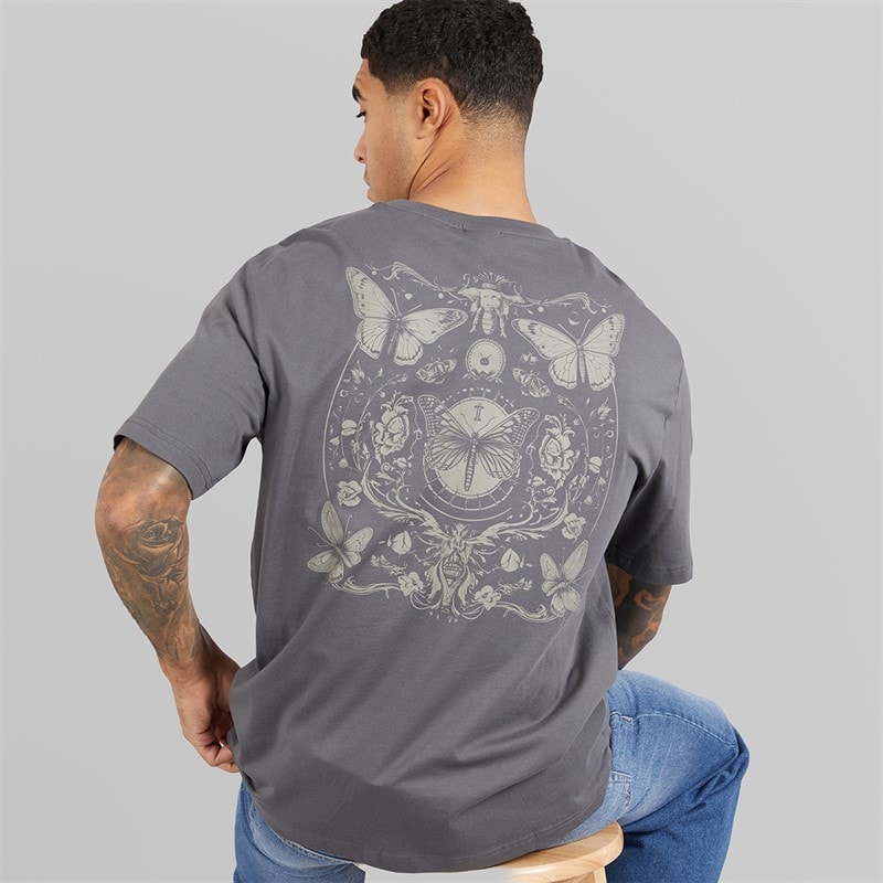 ONLY & SONS Heren Tristan Relaxed T-shirt Grey Pinstripe/Butterflies