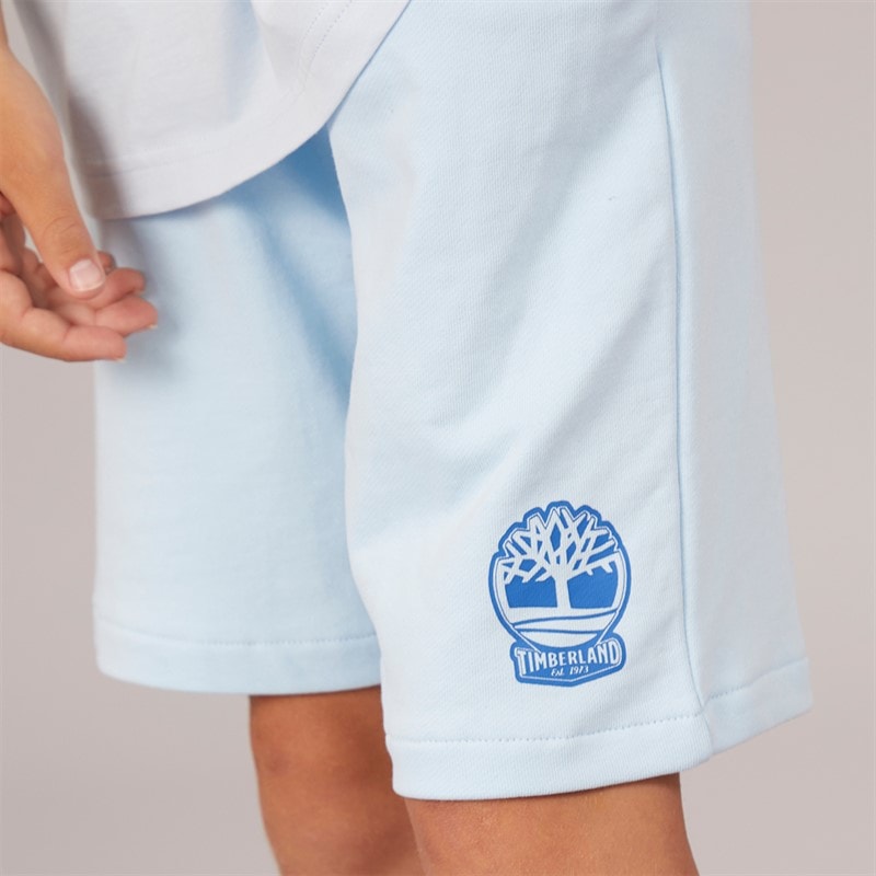 Timberland Jongens T-Shirt Korte Mouw Lichtblauw - Afbeelding 3