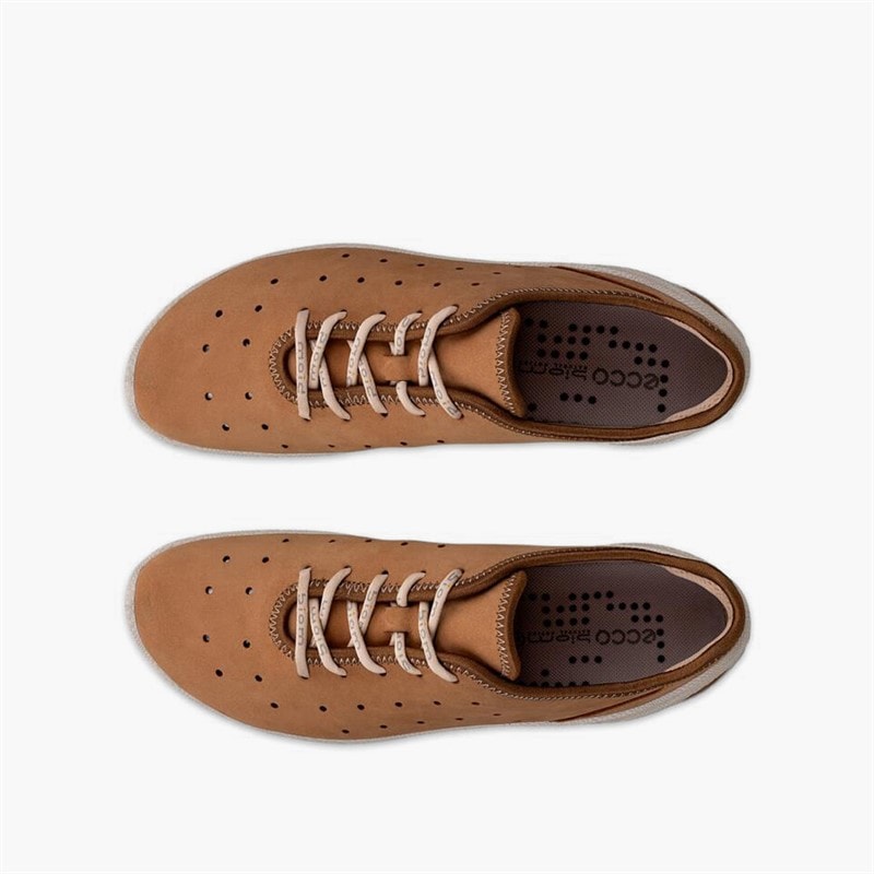 ECCO Baskets à Lacets Biom Everyday Femme Cashmere - Image 4