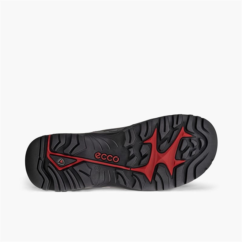 ECCO Heren Offroad Waterdichte Sneakers Zwart/Virtual - Afbeelding 5
