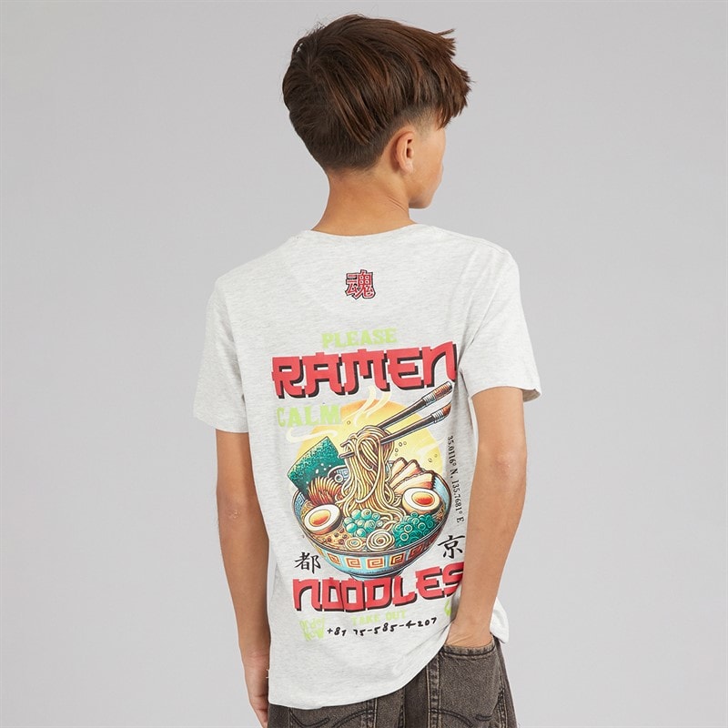Brave Soul Jongens Scran T-shirt Ecru Marl/Multi Kleur Ecru Marl/Multi-Colour