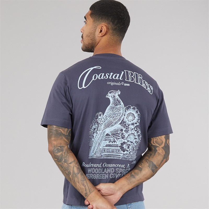 JACK & JONES T-shirt z nadrukiem na plecach Maine dla niego kolor Odyssey Grey