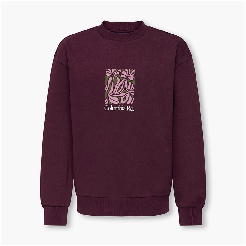 ONLY & SONS Sweatshirt Beaufort Garçon Fig