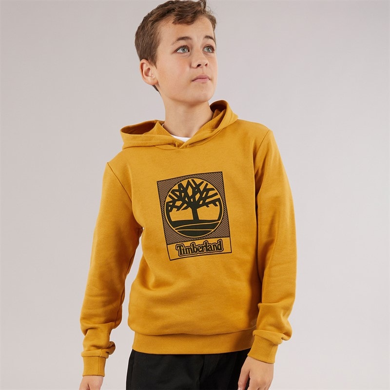 Timberland Sweat à Capuche Garçon Beige/Noir